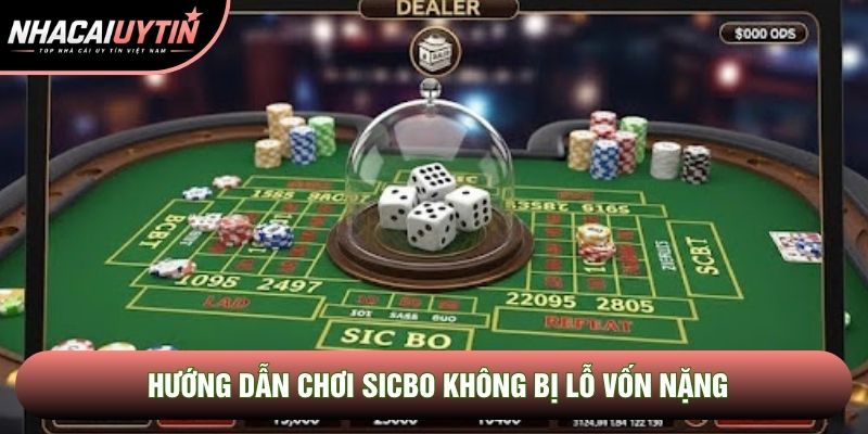 Hướng dẫn chơi sicbo không bị lỗ vốn nặng