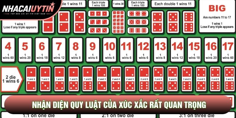 Nhận diện quy luật của xúc xắc rất quan trọng