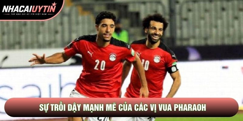 Sự trỗi dậy mạnh mẽ của các vị vua Pharaoh Sự trỗi dậy mạnh mẽ của các vị vua Pharaoh